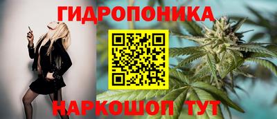 спайс Коммунар