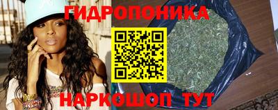 СК Конаково
