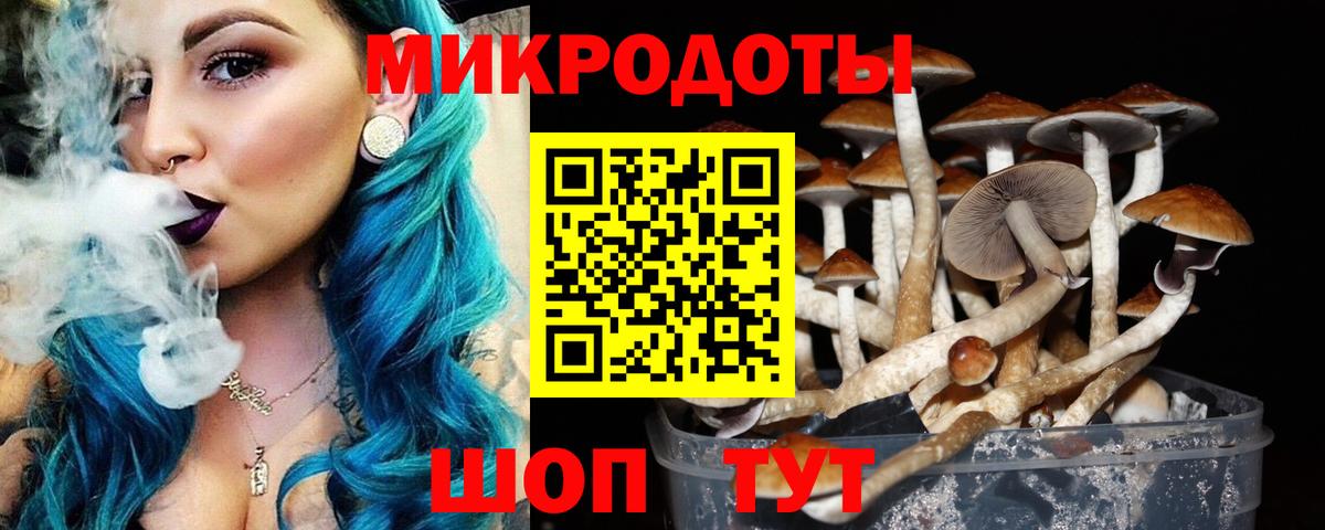 Галлюциногенные грибы GOLDEN TEACHER Бутурлиновка