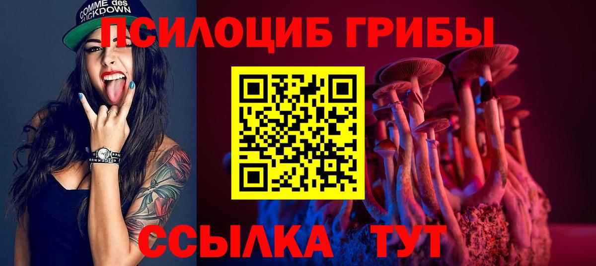 Галлюциногенные грибы Magic Shrooms  Бутурлиновка 