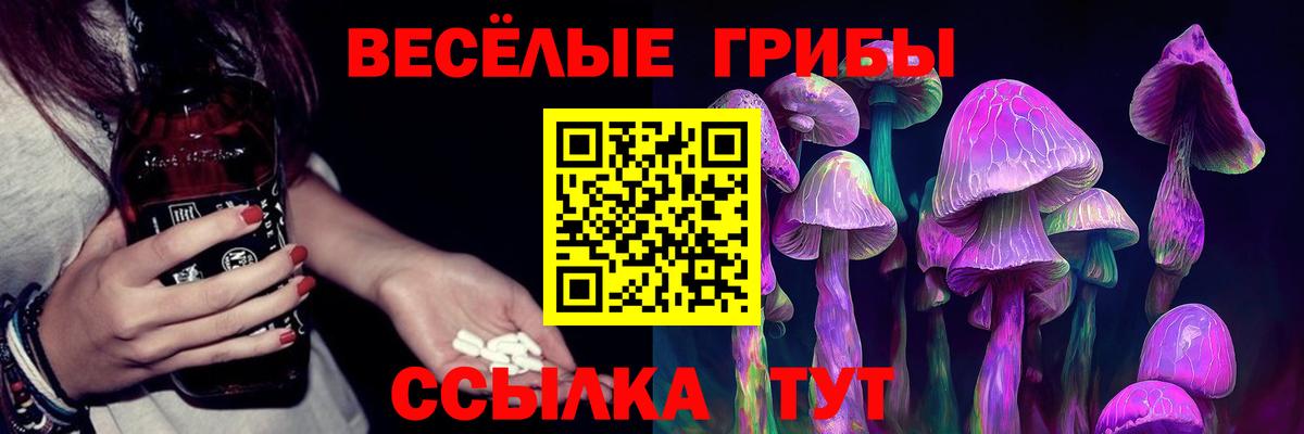 Бутурлиновка  Галлюциногенные грибы Psilocybine cubensis  Псилоцибиновые грибы Magic Shrooms  Вход с VPN 